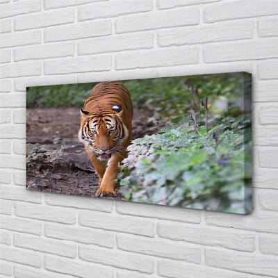Tulup Leinwandbild 140x70 Wandkunst Tiger Woods
