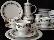 Bareuther Waldsassen Weinlaub Dekor edles Kaffeeservice für 12 Personen 39 Teile