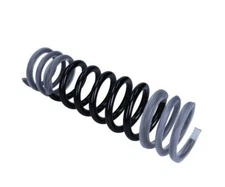 Suspension Spring Maxgear 60-0496 Rear Axle for Ford