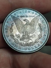1885 Morgan Dollar Monster Gem UNC Purple Effervescent Toner Unknown VAM