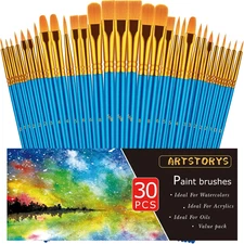 Paint Brushes Set, 30 Pcs Paint Brushes for Acrylic Painting, Oil Watercolor Acr