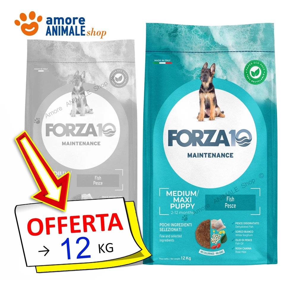 Forza10 Dog Maintenance → Puppy Junior Medium Maxi - Pesce - 12 kg - Secco Cani