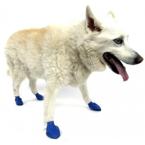Pawz Dog Boots 12-pack Waterproof Sizes TINY-XXS-XS-SM-MD-LG-XL - Image 1 of 2