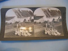 Keystone View Company P90 Prosperous Irish Farmer County Kerry V12640 Ireland