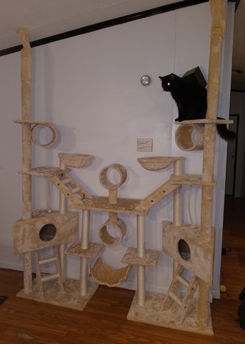 106 inch cat tree