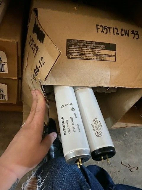 33" F25T12/CW/33 25W 4200K FLUORESCENT LIGHT BULB 7500-Hrs NEW 260307 - Image 3 of 3