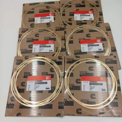 6Set 5298564 OEM Shim -Liner .020 Counterbore Shim For Cummins ISX 1997 ...