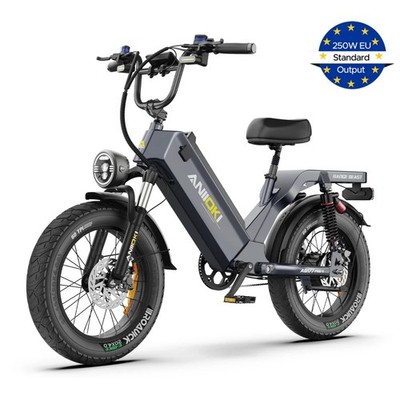 250W ANIIOKI AQ177 PRO MAX City E-Bike Elektrofahrrad 20 Zoll 48V 60Ah 25km/h EU