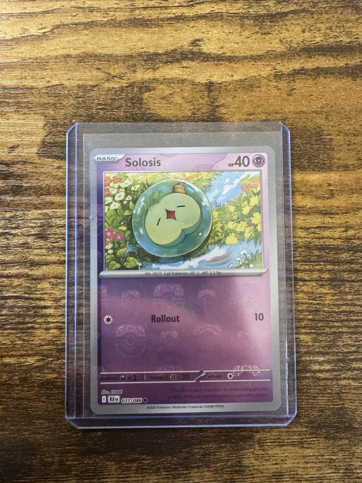 Pokemon TCG - Solosis Masterball - 037/086 - Black Bolt - NM