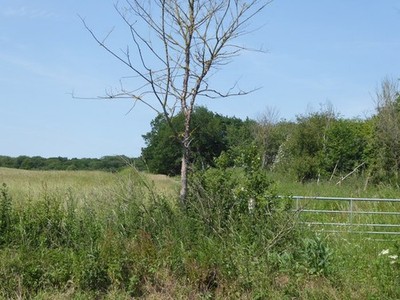 Foto A3 Der Rand von Bedfords Park Romford \/TQ5289 Diese Ansicht sieht quer durch c2017