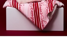 Victoria's Secret VS Cozy Sherpa Blanket 50x60 in NWT Pink Logo