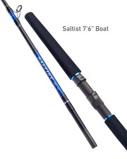Daiwa Saltist Boat - Fishing Rod