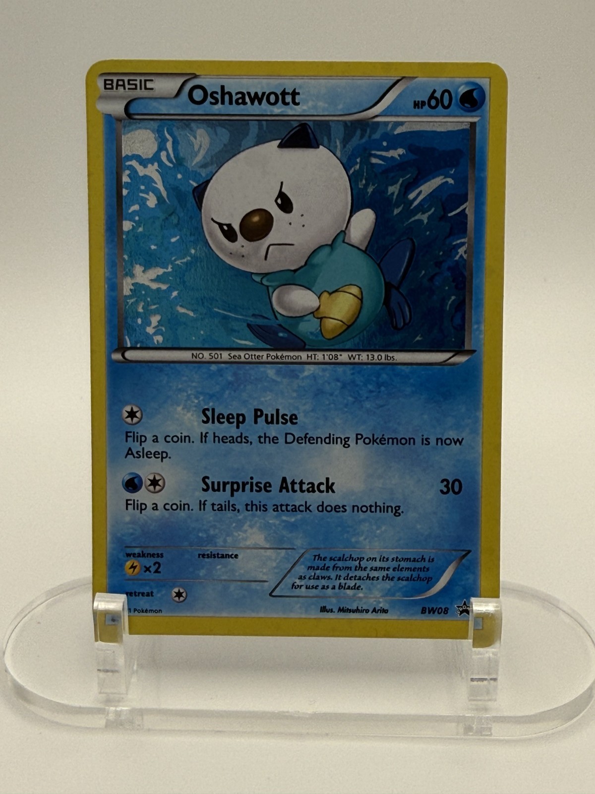 Oshawott BW08 Black Star Promo 2011 Holo Pokémon LP