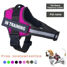 Personalized Dog Harness Reflective Adjustable No-Pull Pet Harness Vest For Sma