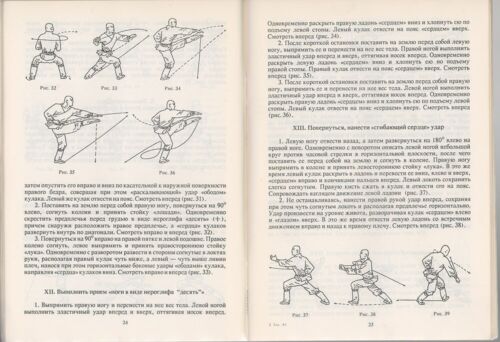 SHAOLIN KUNG-FU, CANNON STRIKES, WUSHU MARTIAL ART, OLD RARE RUSSIAN BOOK, 1991 - Imagen 3 de 6
