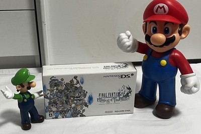 Nintendo DSi Final Fantasy Crystal Chronicles Echoes of Time Crystal Edition
