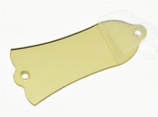 Plastic Gold Mirror LP Guitar Truss Rod Cover 2 Hole Fits Gibson Les Paul