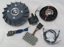 ILO Motor MG150V Goggo Roller Vape / Powerdynamo Lichtmaschine Zündung 774679900