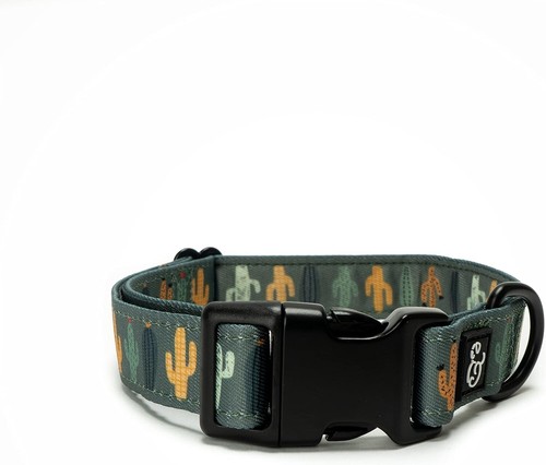 Lucy & Co Adjustable Dog Collar Green Gold Cactus – Size Large 16″ To 26″