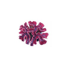Euphyllia Decorazioni Resina per Acquari Arredo Oggetti Decoro Naturali Atossica