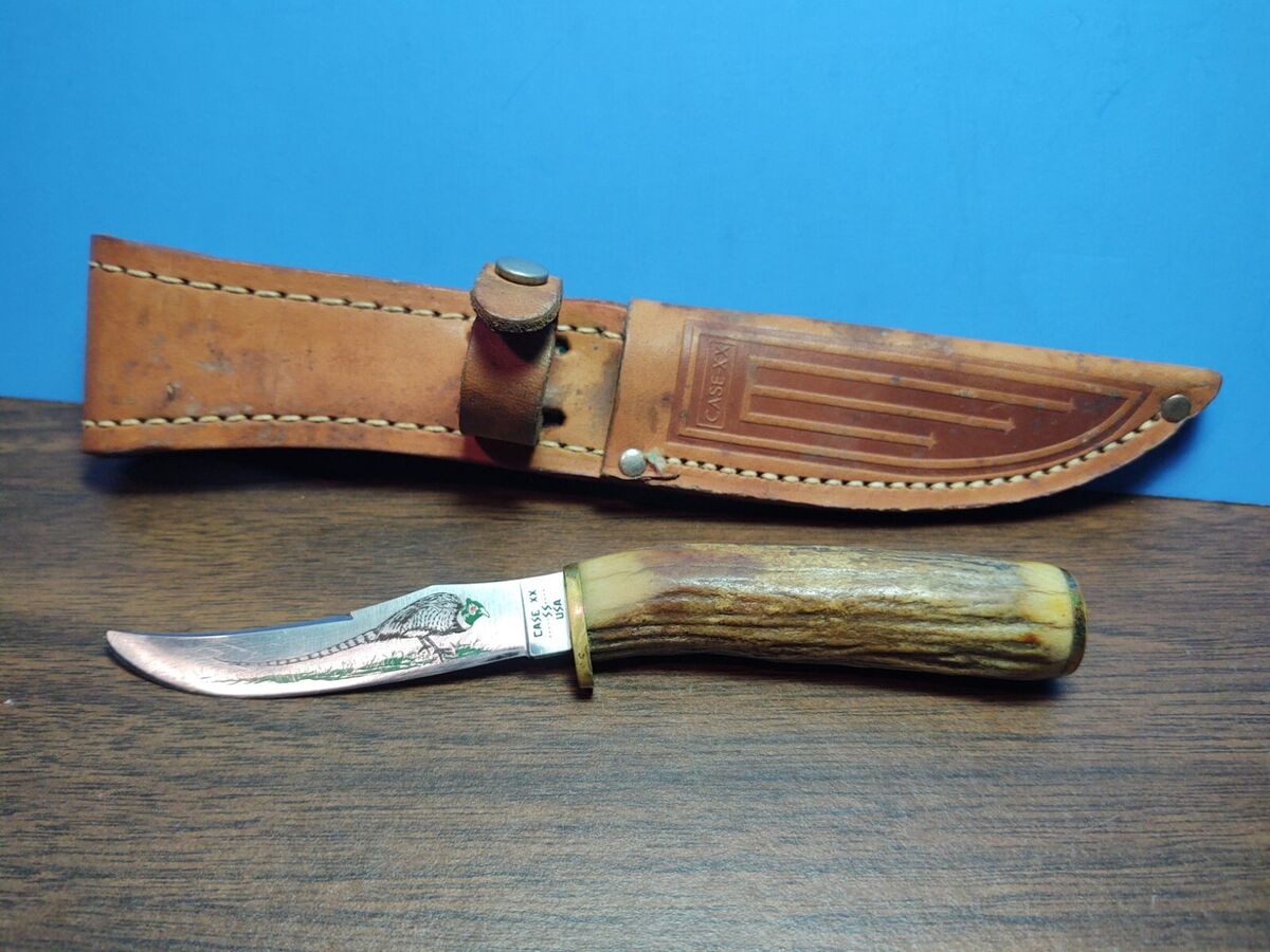 Vintage Case XX Pheasant Hunter Bone Handle Knife 523 3 1/4 Vintage Case XX Pheasant Hunter Bone Handle Knife 523 3 1/4