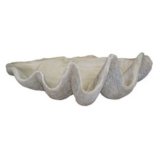 Giant Clam Shell