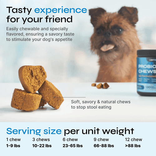 Probiotics for Dogs Chews for Digestive and Gut Health Dental Immune System - Picture 3 of 8