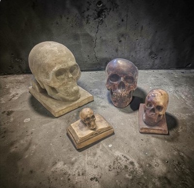 Memento Mori Rare lot of 4 Skulls Books Sculpture Odd Macabre cement plaster