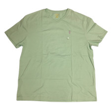 Polo Ralph Lauren Green Classic Fit V-Neck T-Shirt Purple Logo Mens Large NEW