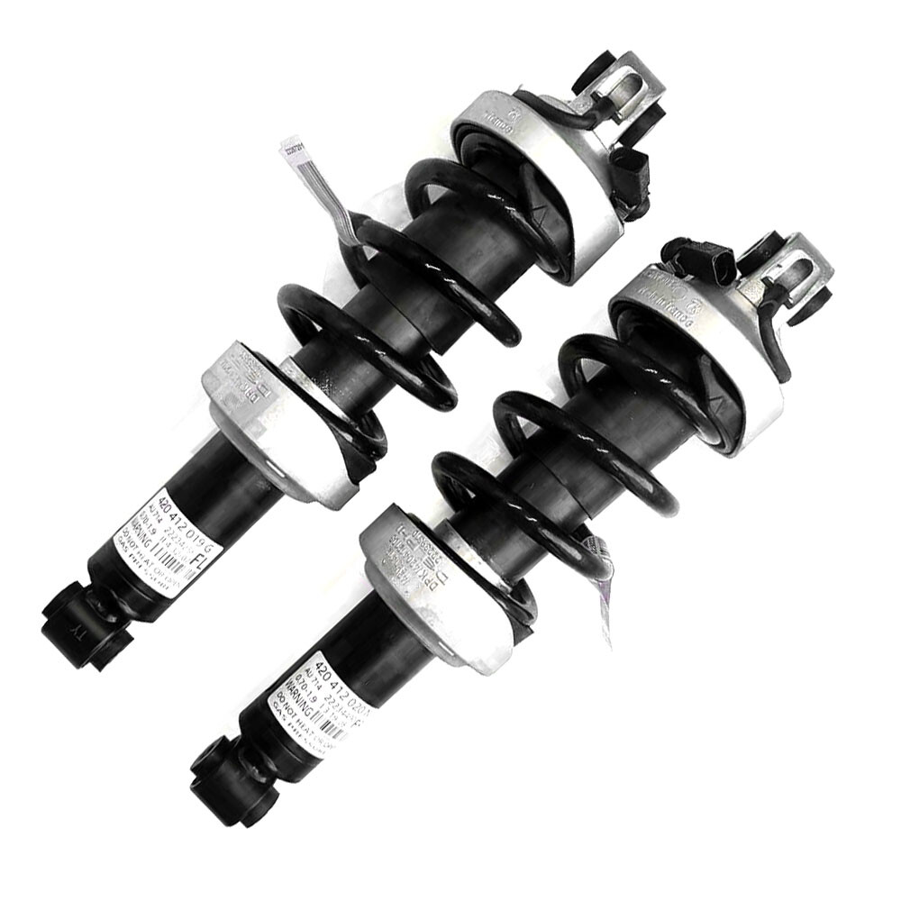 2x Front Shocks Absorbers Struts Magnetic Ride For Audi R8 V8 4.2 FSI 2007-2015
