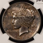 1921 $1 Silver Peace dollar - Key Date - Deep Patina - NGC UNC Dets - SKU-B2746