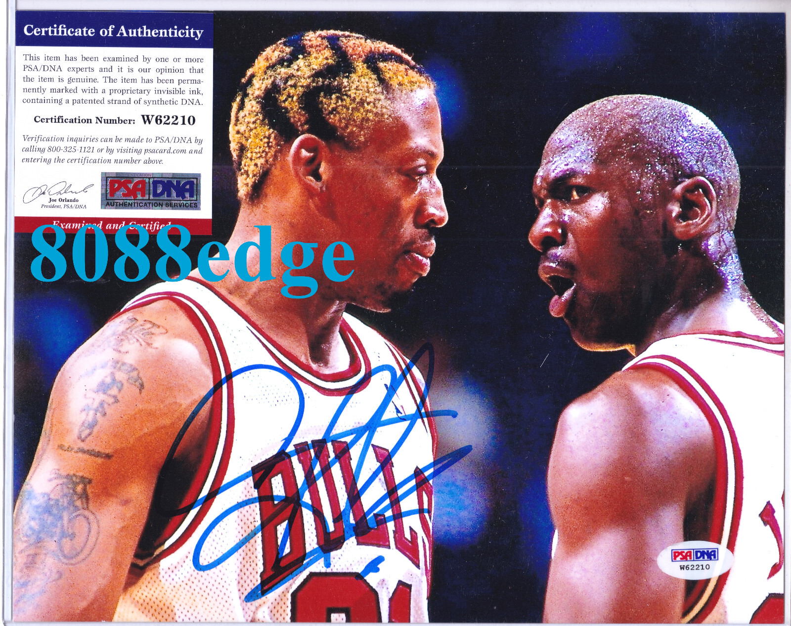 "DENNIS RODMAN" SIGNED AUTO PSA/DNA AUTHENTICATED 10x8 AUTOGRAPH"MICHAEL JORDAN"