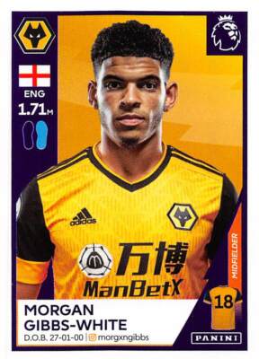 WÄHLEN SIE IHRE SPIELER - TRANSFER UPDATE Aufkleber Panini Football 2021 Premier League
