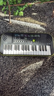 Casio SA 46 Keyboard Black And Green