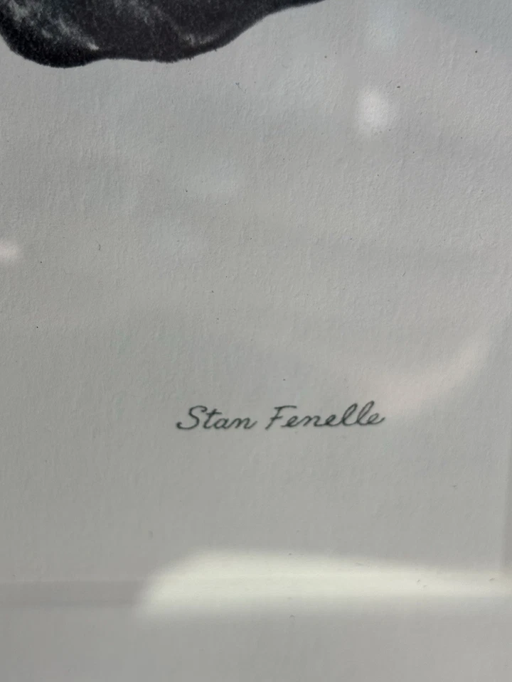 Ganadora del Derby de Kentucky 1972 Riva Ridge dibujo en marco por Stanford Fenelle Foto 3 de 4