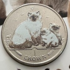 Moneda de 1 corona coloreada Isla de Man Ragdoll Cat 2007 CuNi brillante sin circular