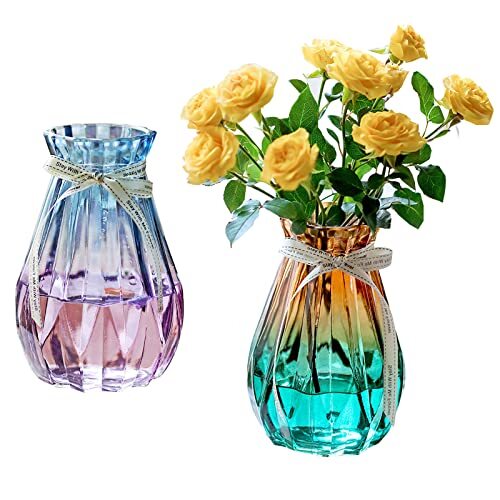 YouYuer 2PCS Vaso di Vetro per Fiori Vaso da Interno Vaso Transparente (G7Q)