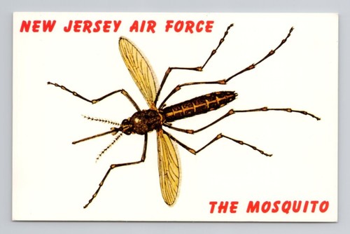 INSECTS Mosquito New Jersey Air Force Vintage Postcard 4 | eBay