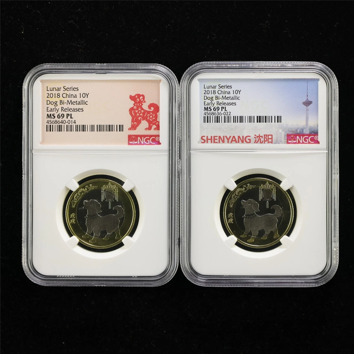 10 Yuan Denomination NGC 2018 Republic of China Coins (1949-Now