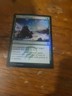 Roar of Challenge Khans of Tarkir Foil MTG Magic The Gathering Card Vintage