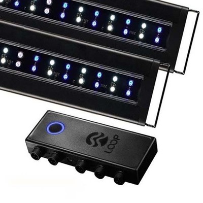 Orbit Marine 72'' Bluetooth IC LOOP PRO Dual LED System (4338) - Current USA