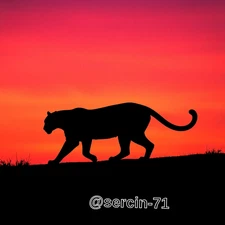 Digital Image Picture Photo Wallpaper Background Desktop AI Art Sample Product