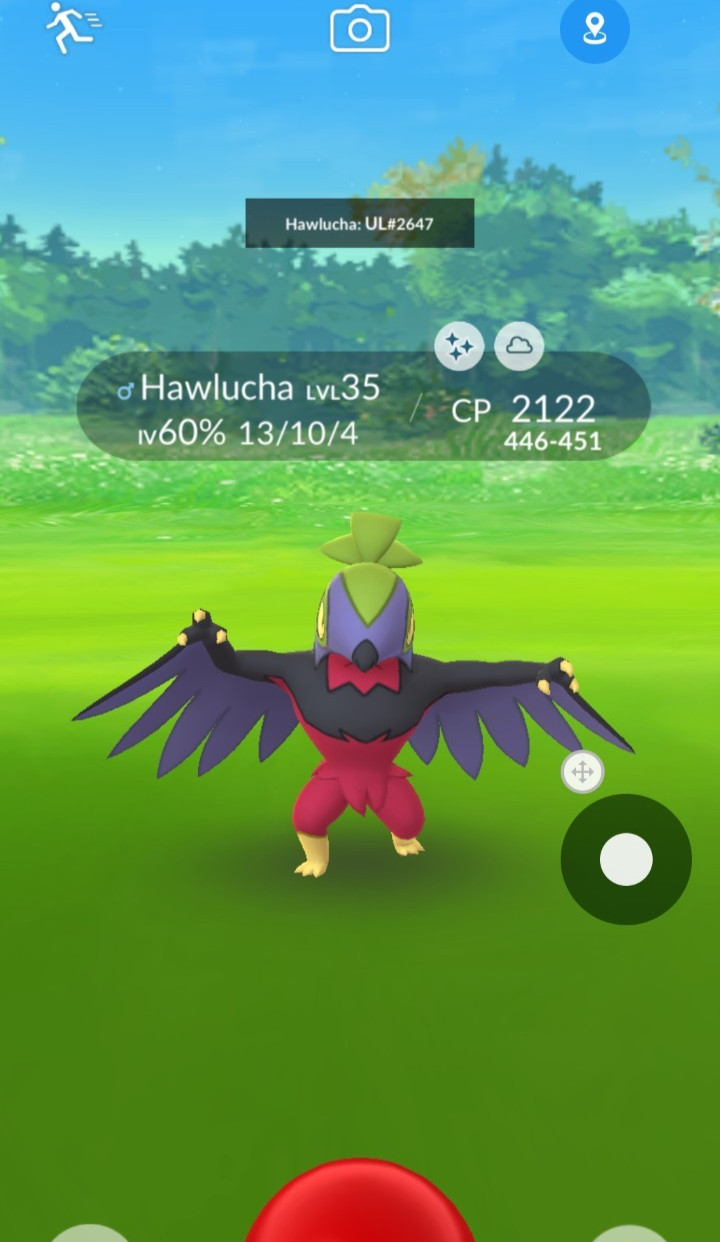 как выглядит Pokemon Regional Shiny Hawlucha Registered or 30 Days фото