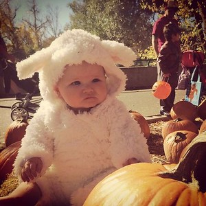 Nwt New Pottery Barn Kids Baby Lamb Sheep Halloween Costume 12 18