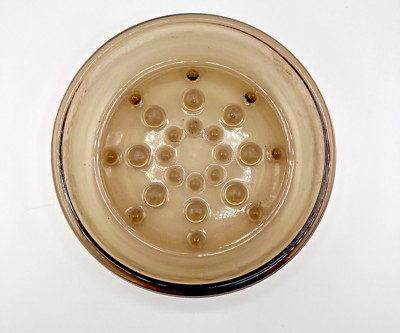 Vintage Corning USA Glass Plant Helper Ph-7 5 Saucer Terrarium Base 6.5'' Amber