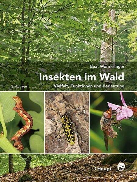 Thumbnail - Insekten Wald