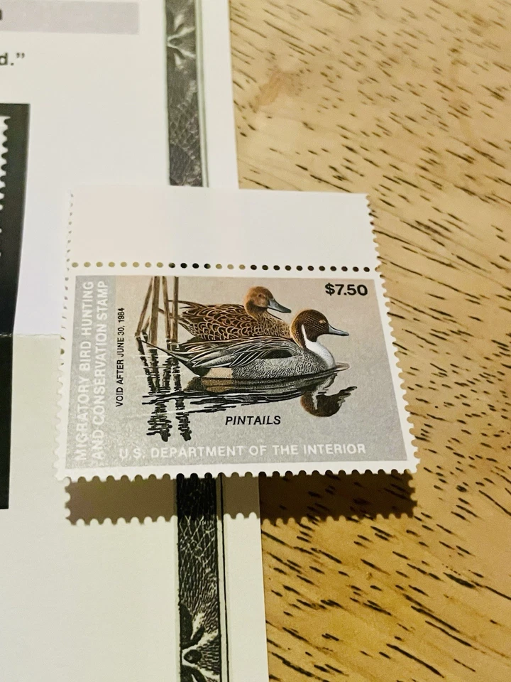 US Duck Stamp Scott# RW50 Mint OG NH PSE Graded Superb 95 SMQ $75 - Image 2 of 3