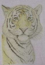 Sumatran and Siberian Tiger T-Shirts or Sweatshirts 3-6 months to XXL 2 designs