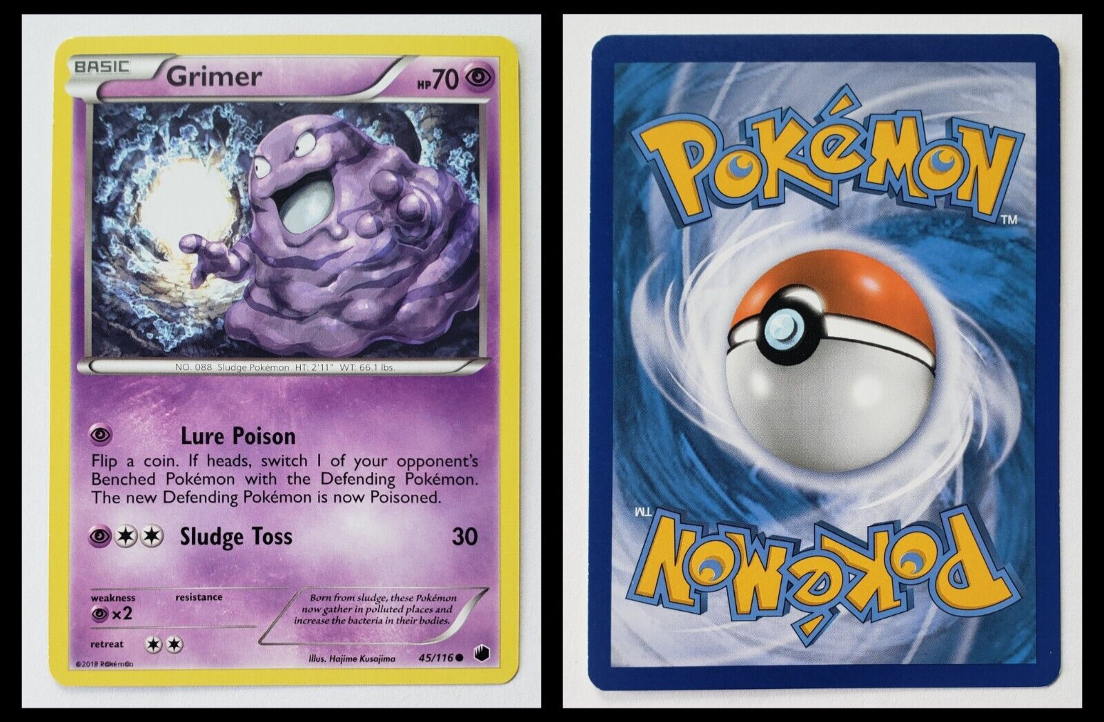 MISPRINT ERROR 2013 Pokemon GRIMER Card TCG 45/116 Plasma Freeze Team HP 70 (A)