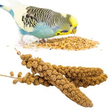 GANMHOILL Bird Seed Parakeet Food - 200 Gram Vacuum 7 Ounce Pack of 1